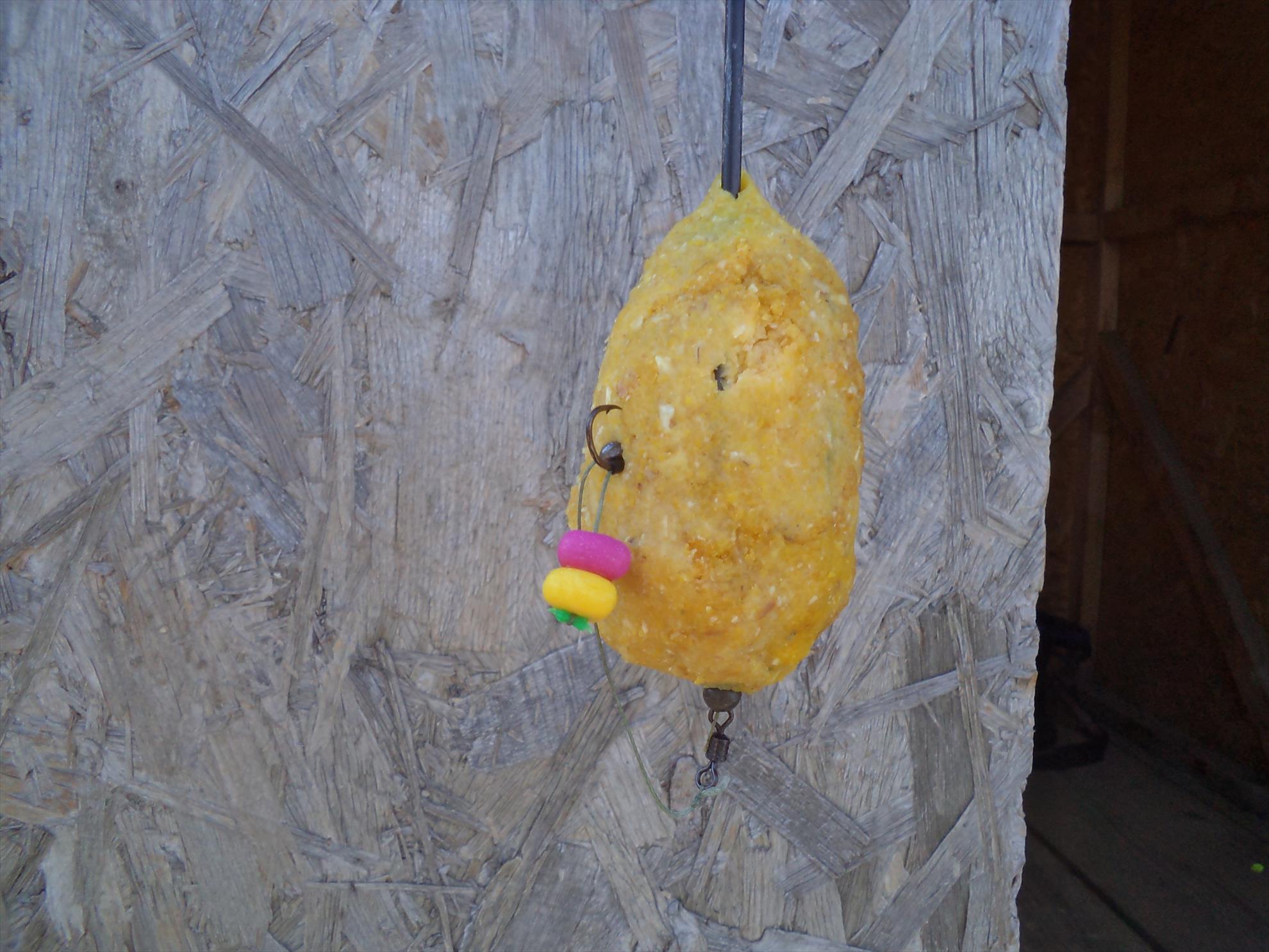 Magura 9 16 - 16 mar. - dsc01758.JPG